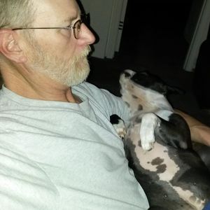 Meet your Posher, Ted